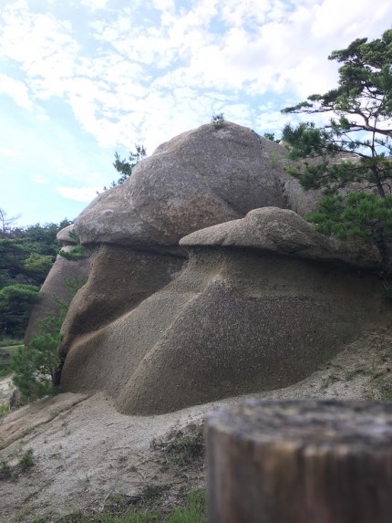 浄土松公園にある、きのこ岩です。郡山市逢瀬町｜郡山市 新築住宅 大原工務店のブログ