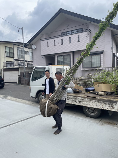 植栽工事を行いました！！郡山市安積町　新築住宅K様邸。