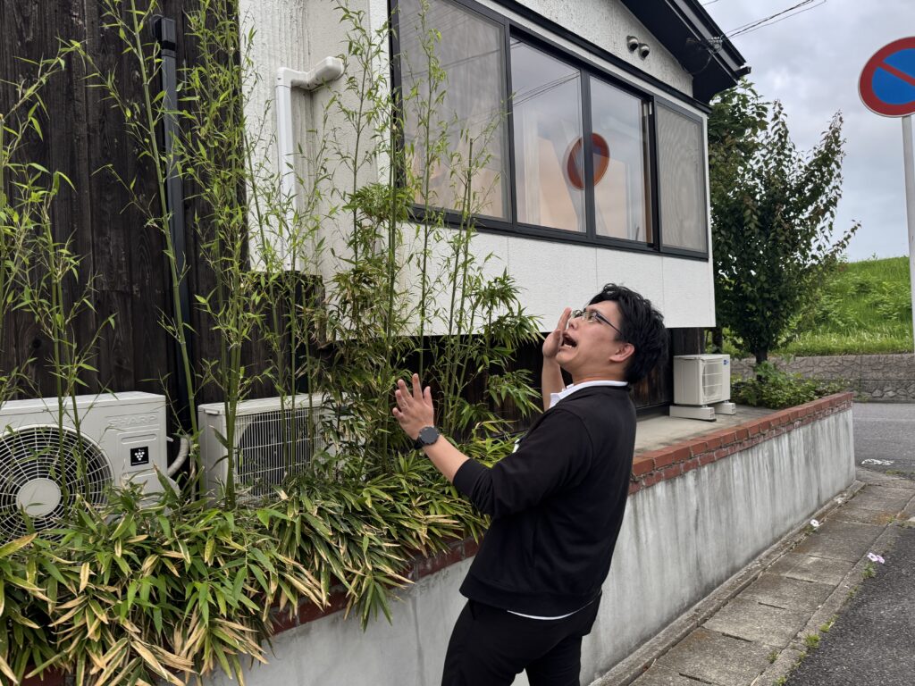 隣のお家から伸びてきている枝は勝手に切っていいの？お答えします！