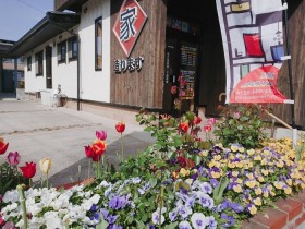 大原工務店の花壇にキレイなチューリップが咲いています。| 郡山市 新築住宅 大原工務店のブログ