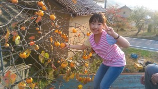 芋煮会in田村市船引町屋根に登って柿を採る娘