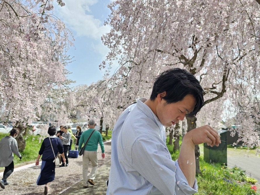 日中線の枝垂れ桜並木に行ってきました！喜多方市| 郡山市 新築住宅 大原工務店のブログ