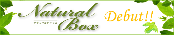 natural boxナチュラルボックス～自然素材×デザイン住宅～
